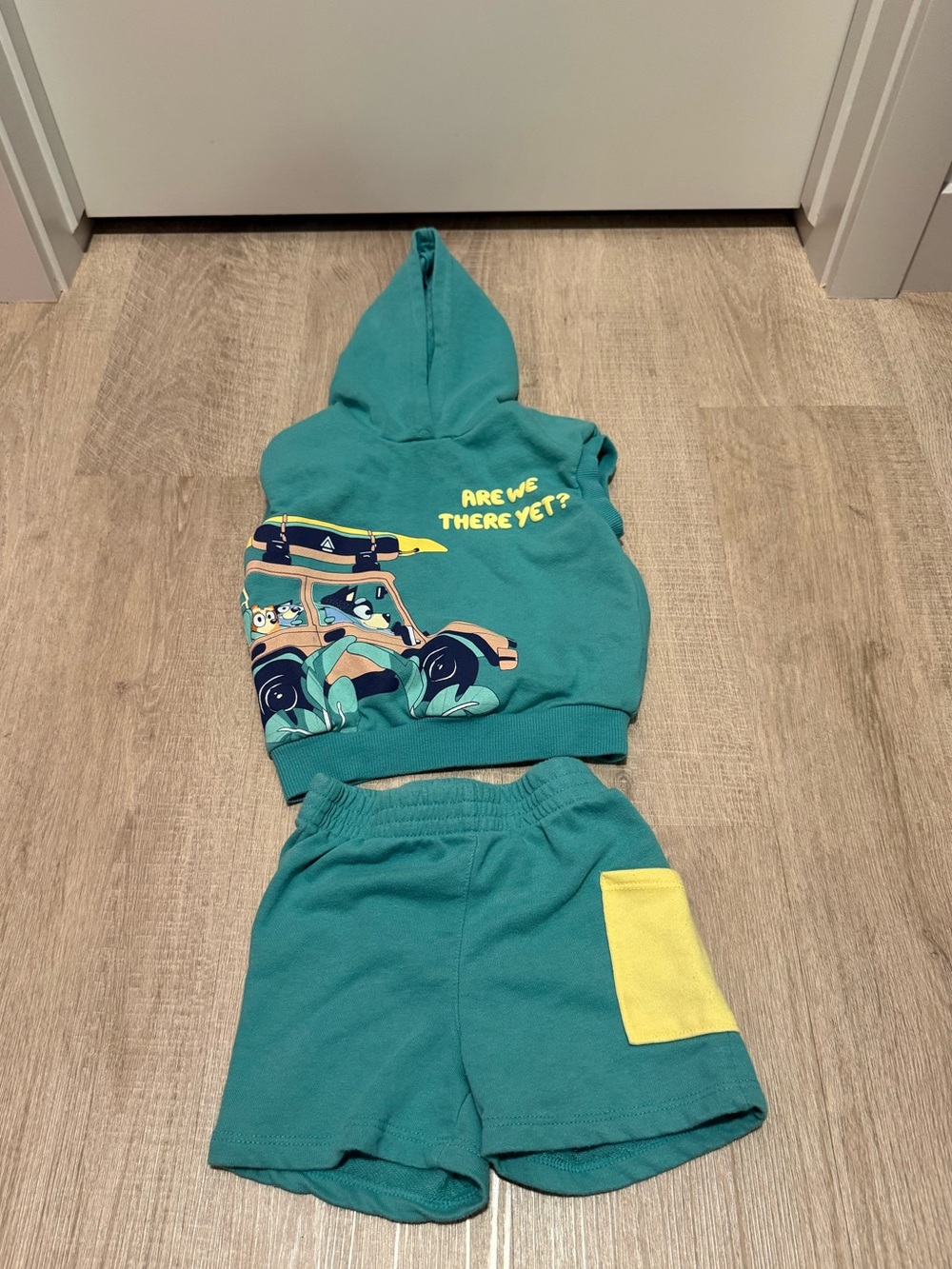 2/$15🥳 Bluey Hoodie and Shorts Set